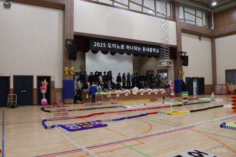 도미노로 하나 되는 사진 19