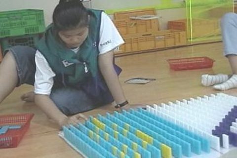 청소년적십자 전국캠프 도미노게임1차 사진 2
