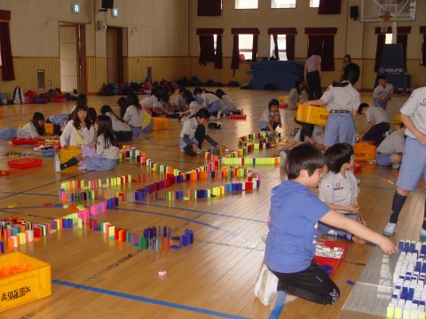 안현초 도미노 체험 스카우트 활동 2013,05 사진 3