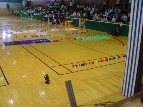 강릉정보고등학교 축제 도미노 사진 14