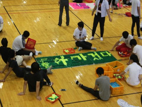 강릉정보고등학교 축제 도미노 사진 2