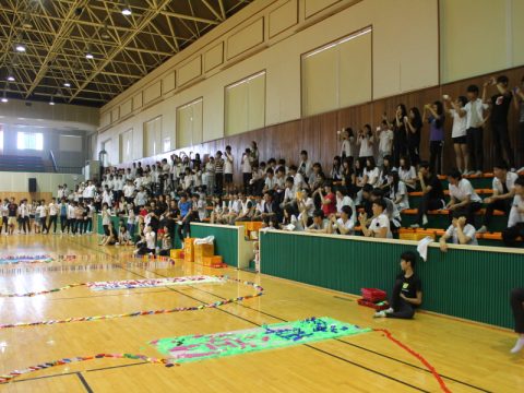 강릉정보고등학교 축제 도미노 사진 6