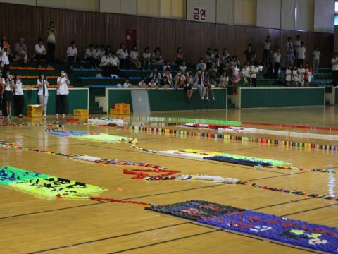 강릉정보고등학교 축제 도미노 사진 8